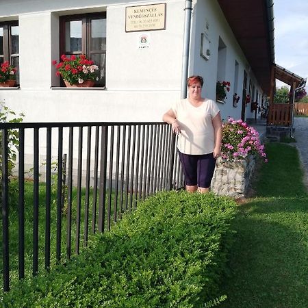 Hotel Kemences Vendeghaz Mikohaza Exteriér fotografie