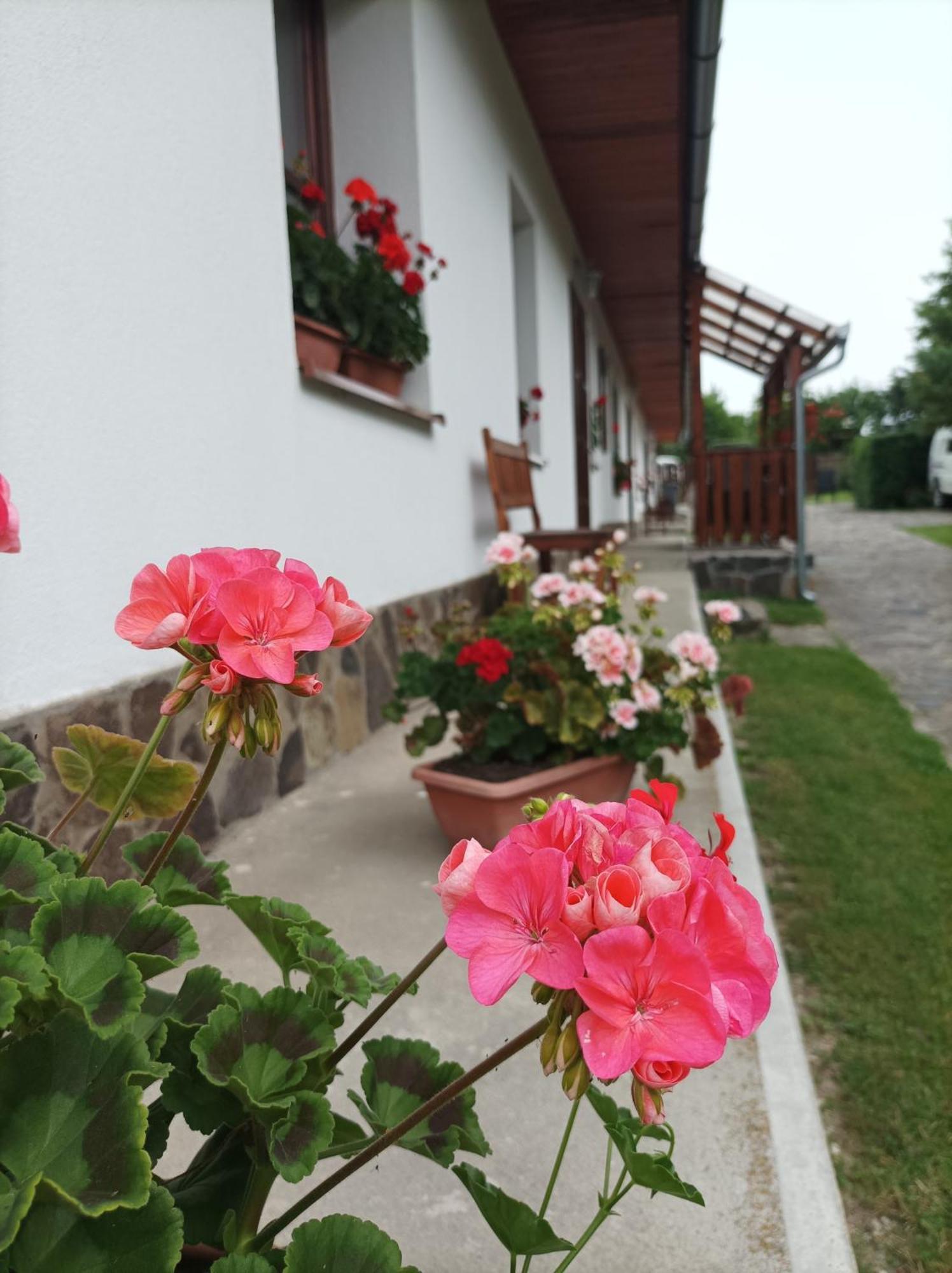 Hotel Kemences Vendeghaz Mikohaza Exteriér fotografie